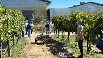 robot looking machine in between trees in a vineyard
